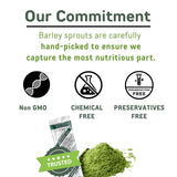 Yamamoto Kanpoh Young Barley Grass Powder sachet next to a glass of water