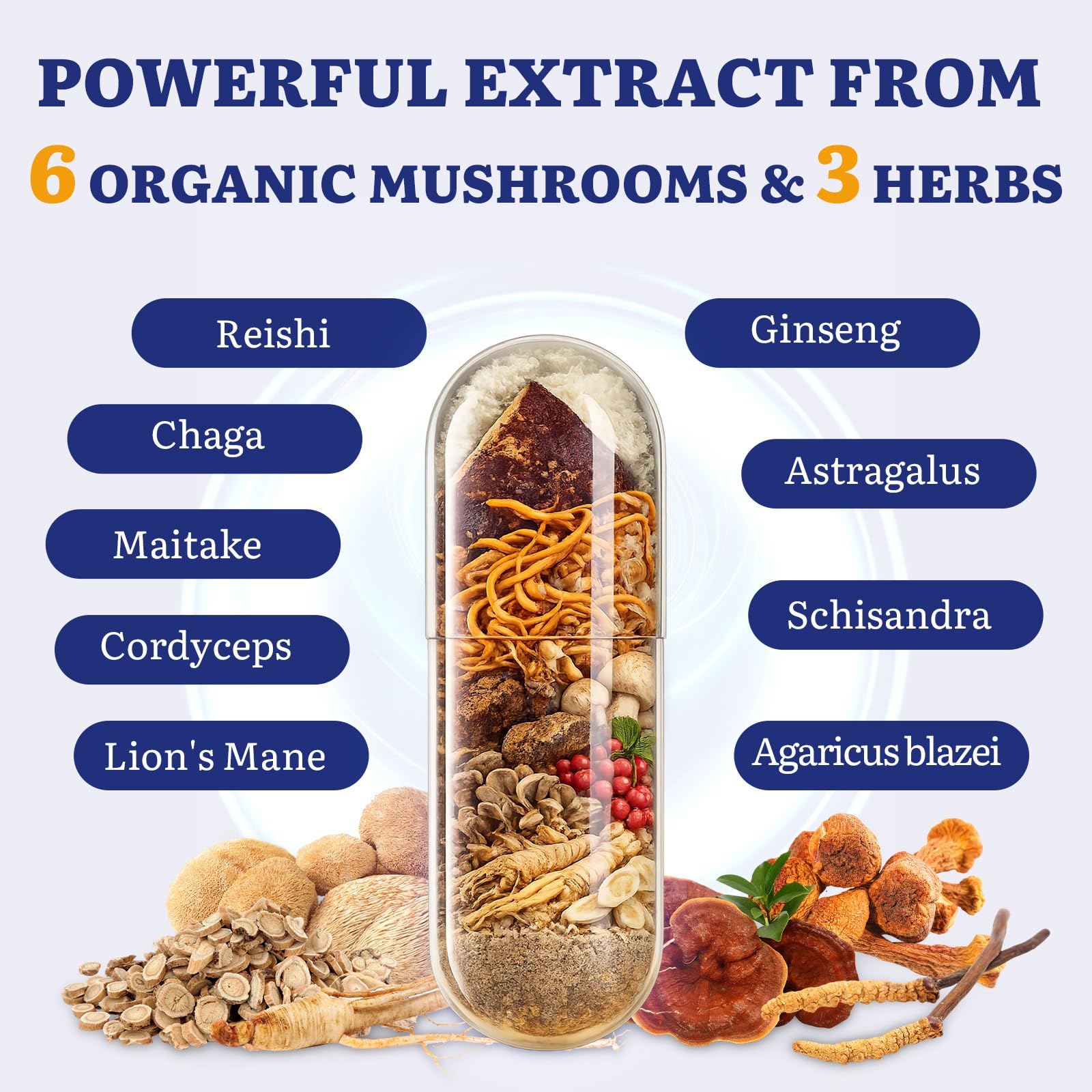 Yasumako Reishi Mushroom Complex 1500mg supplement capsules