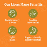 YEMAYA Organic Lion's Mane Mushroom Powder nutritional information