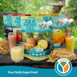 YEMAYA Sea Moss Gel 454g displayed with ingredients