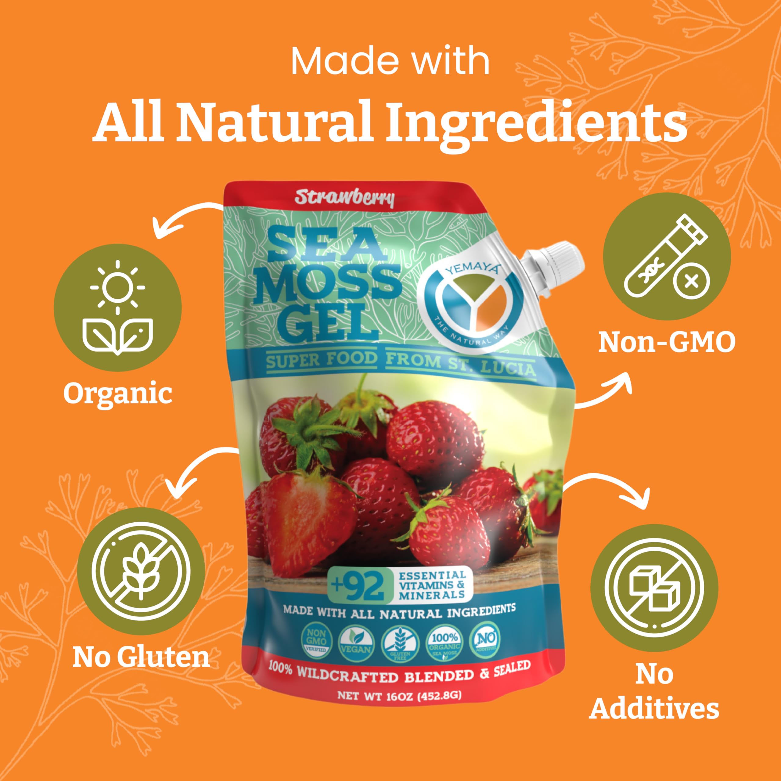YEMAYA Sea Moss Gel 454g in a bowl with fresh fruit