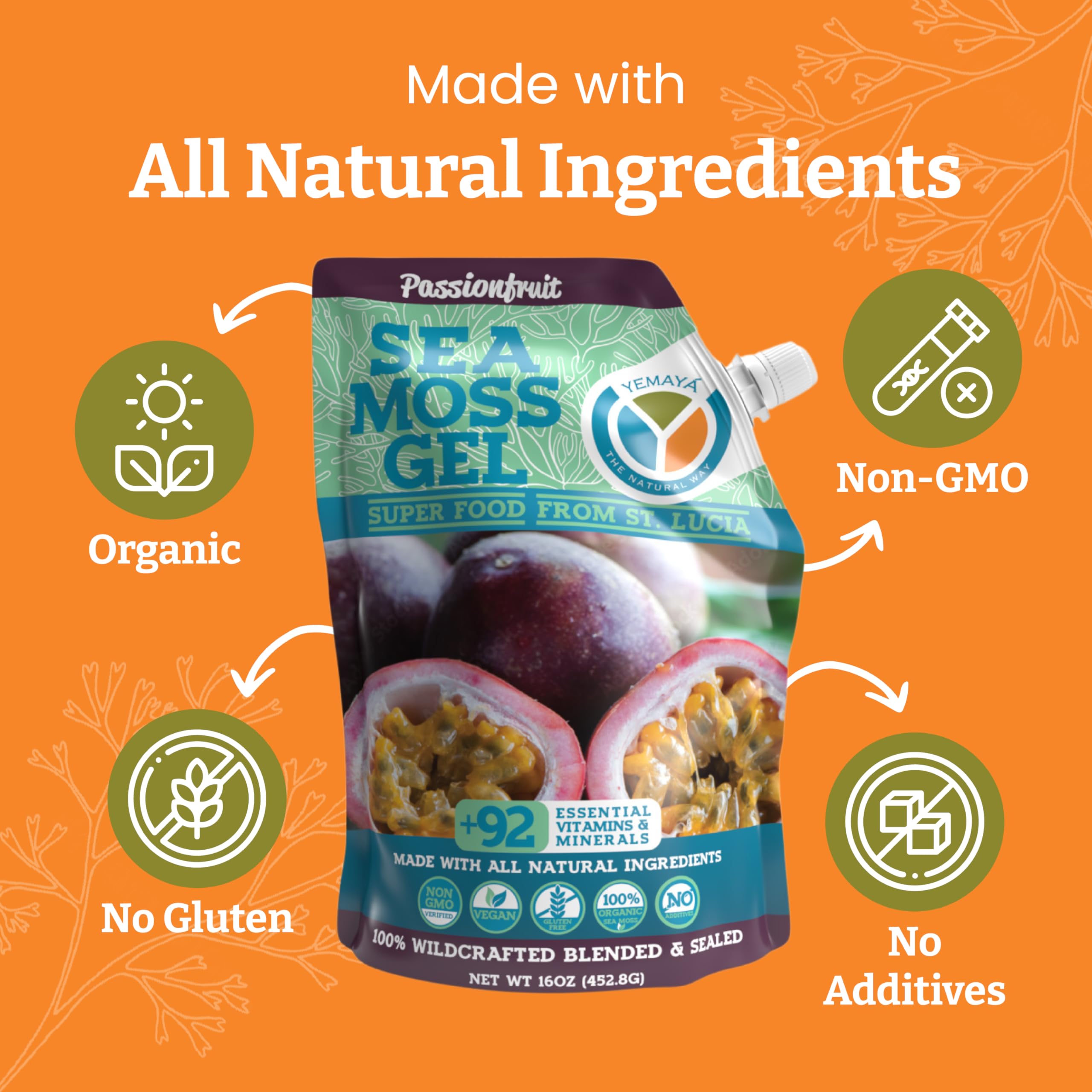 YEMAYA Sea Moss Gel in a glass with fruit
