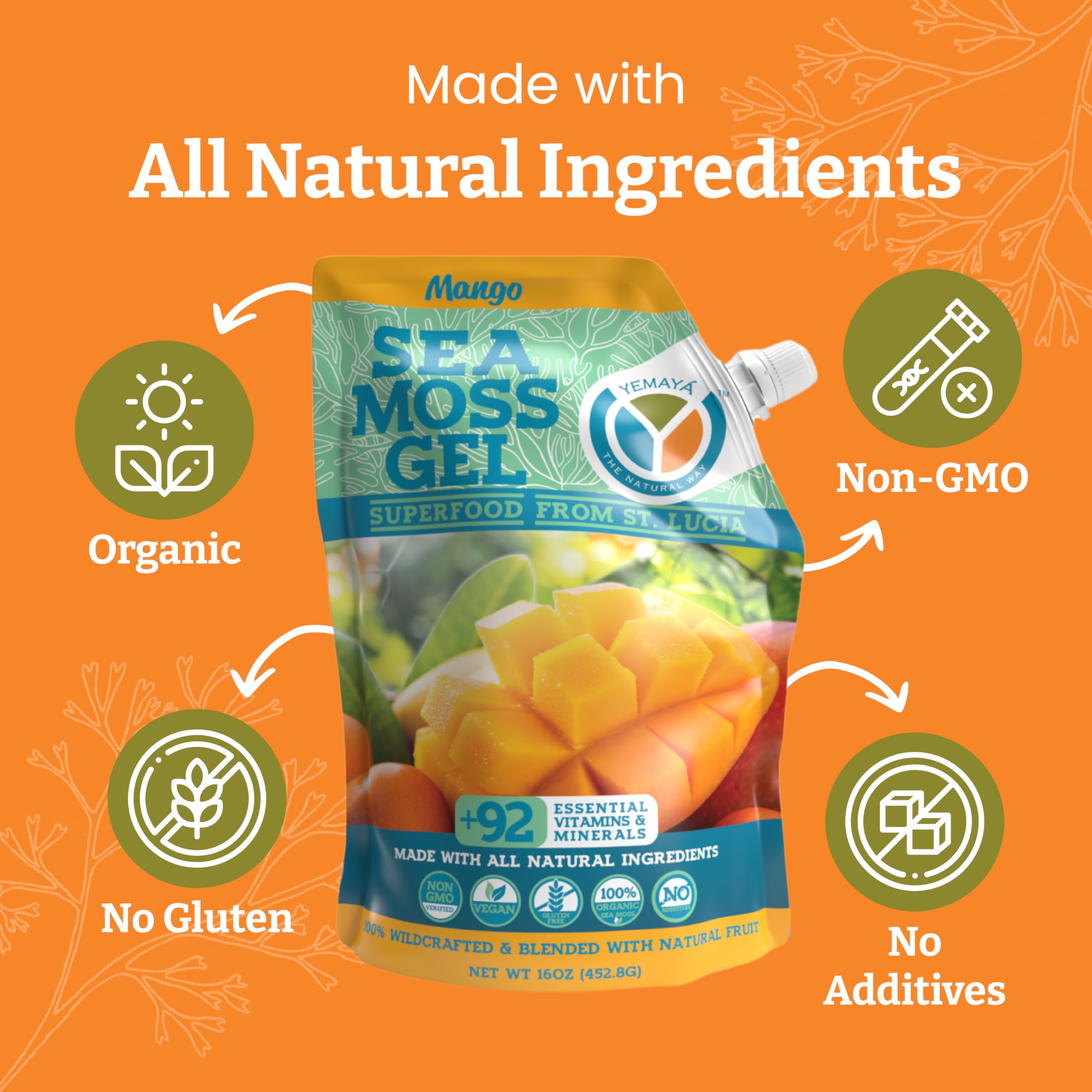 YEMAYA Sea Moss Gel in a glass with fruit