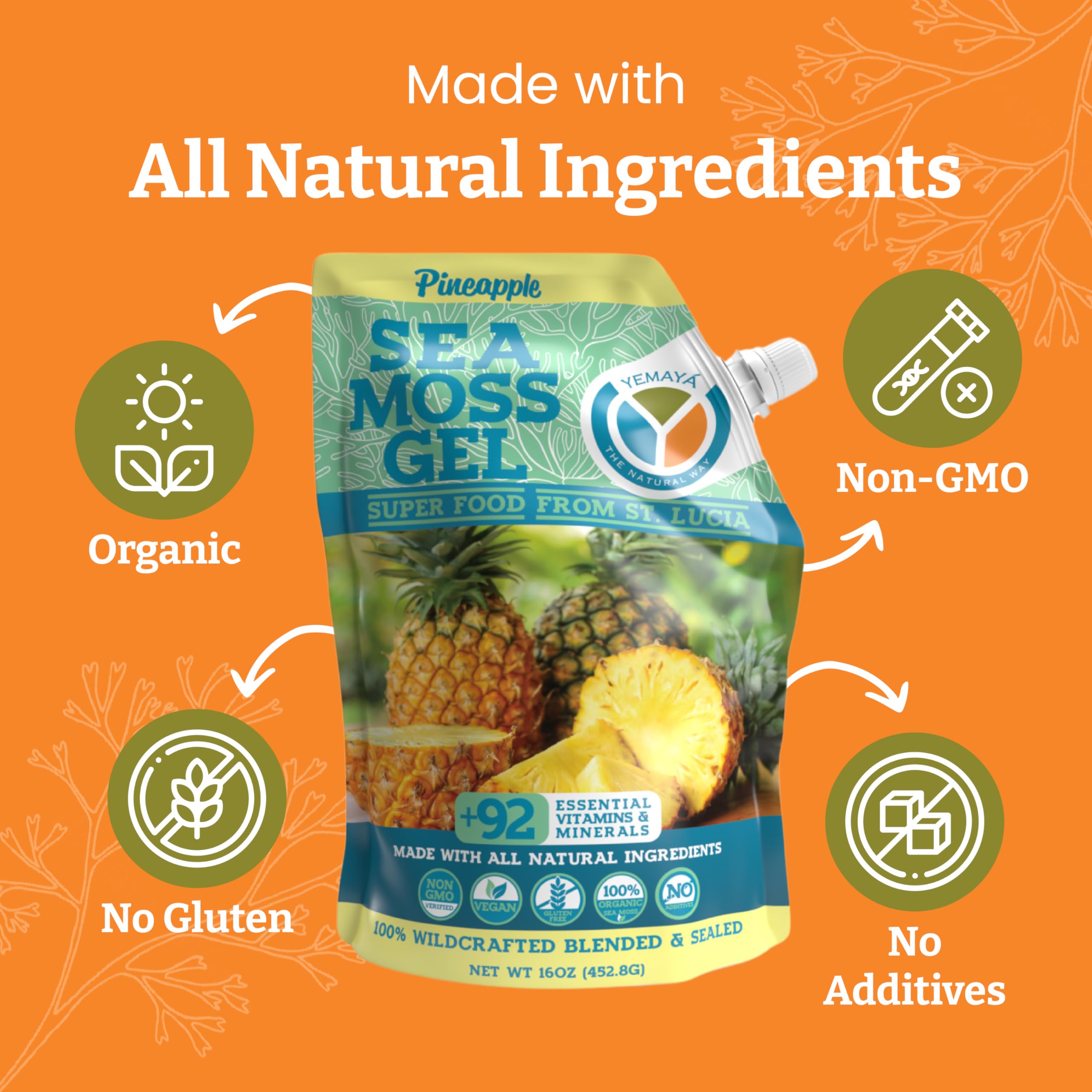 YEMAYA Sea Moss Gel in a smoothie
