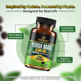 Yerba Mateine capsules on a wooden table
