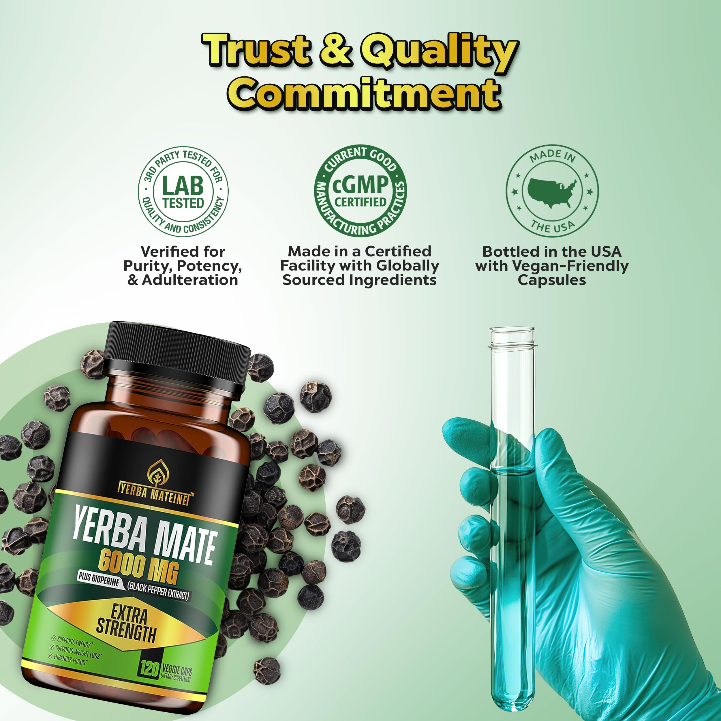 Yerba Mateine capsules with a measuring spoon