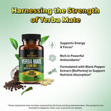 Yerba Mateine Yerba Mate Capsules packaging
