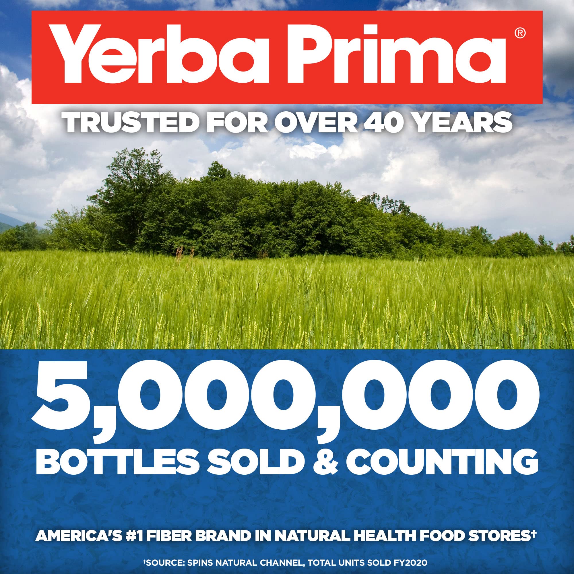 Yerba Prima Psyllium Husk Supplement 680g lifestyle scene