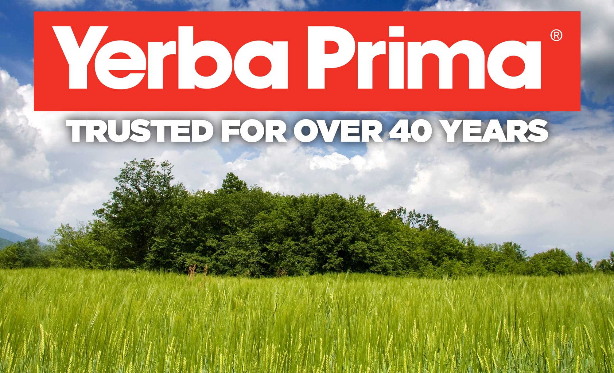 Yerba Prima Psyllium Whole Husks 20 oz with orange juice