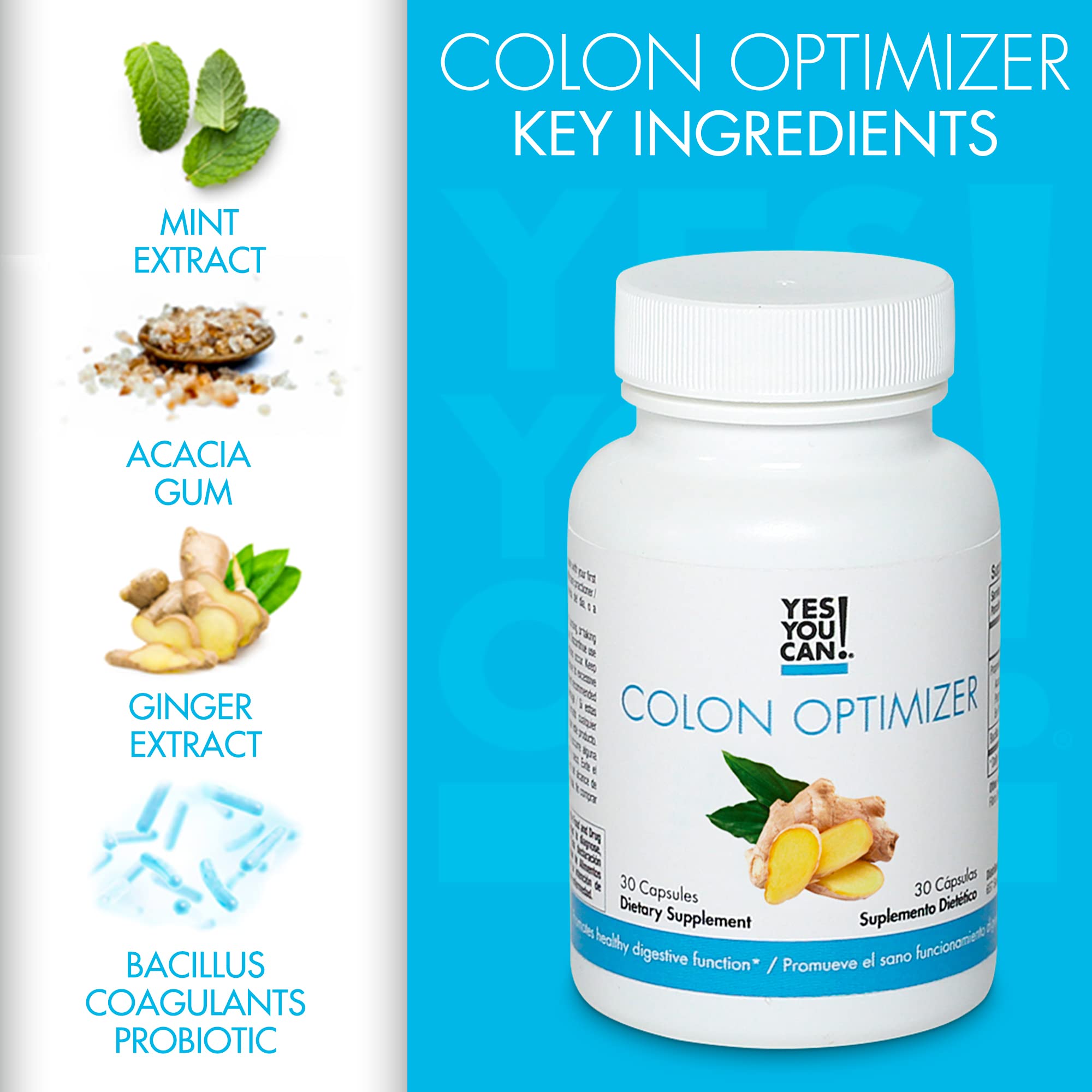 Yes You Can! Colon Optimizer Capsules on a wooden table