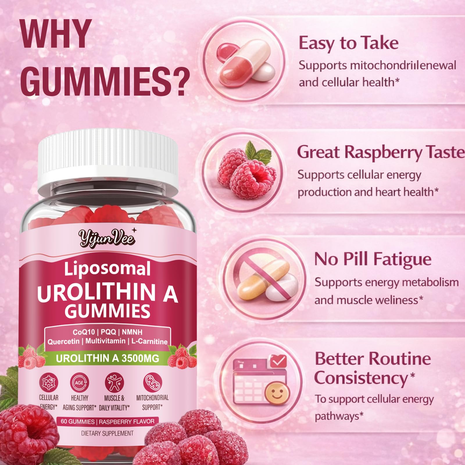 YijunVee Urolithin A Gummies 3500mg ingredients list