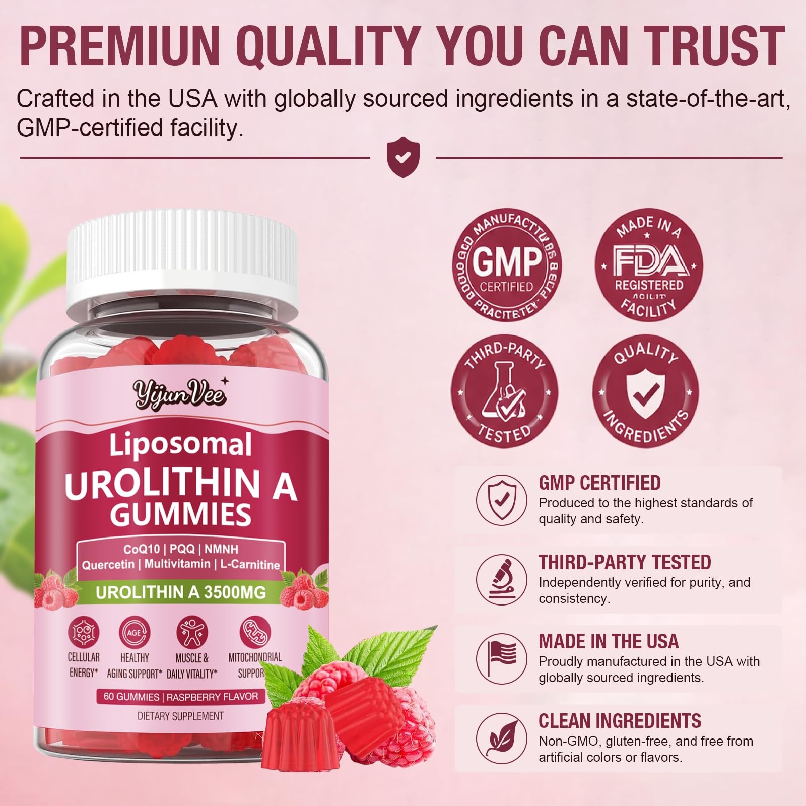 YijunVee Urolithin A Gummies 3500mg with a glass of water