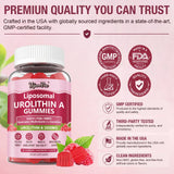 YijunVee Urolithin A Gummies 3500mg with a glass of water