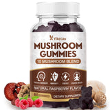 Yikecao Mushroom Gummies 10-Mushroom Complex front view