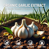 YLOTRE Aged Garlic Extract Capsules ingredients list