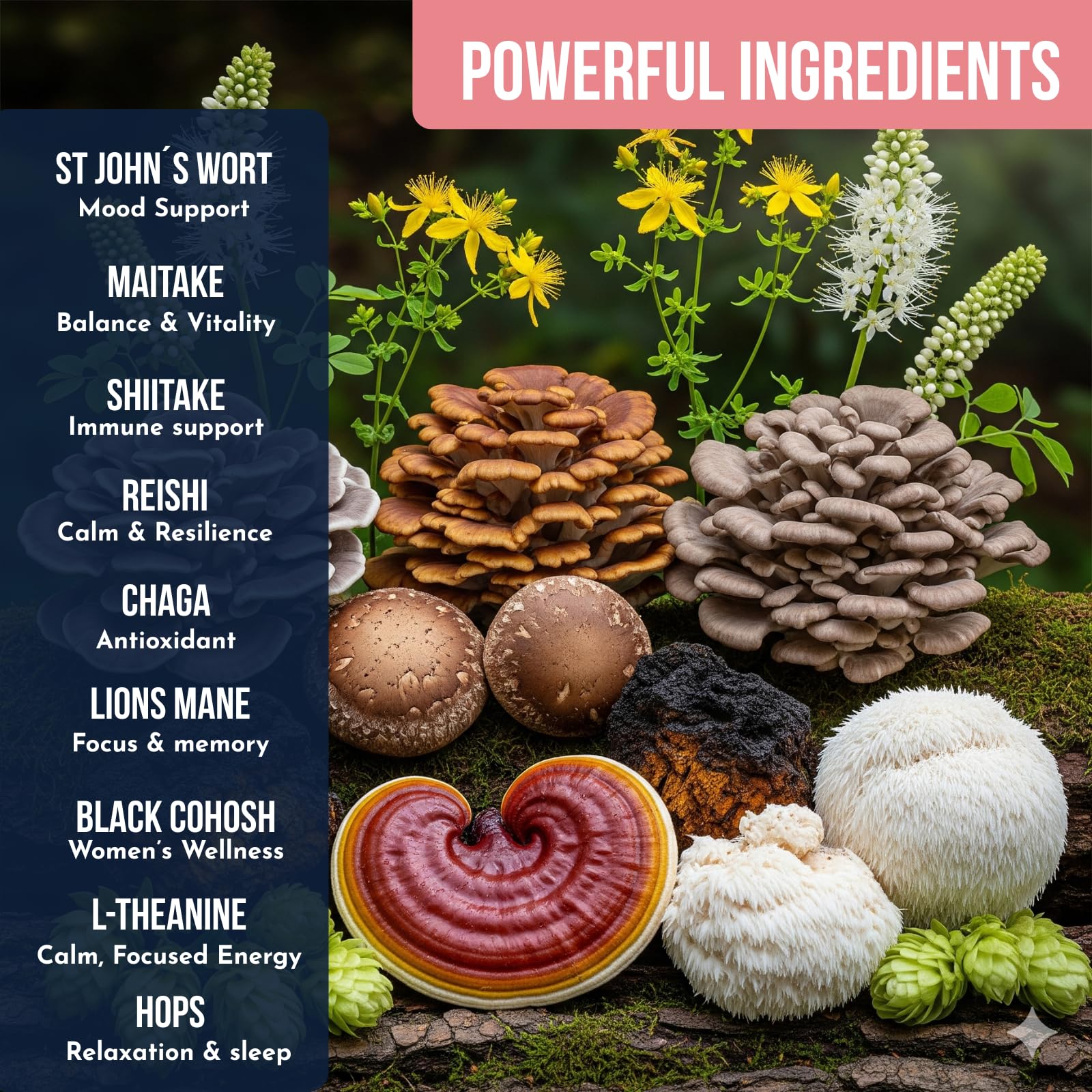 Ylva Blends Instant Mushroom Coffee preparation process