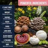 Ylva Blends Instant Mushroom Coffee preparation process