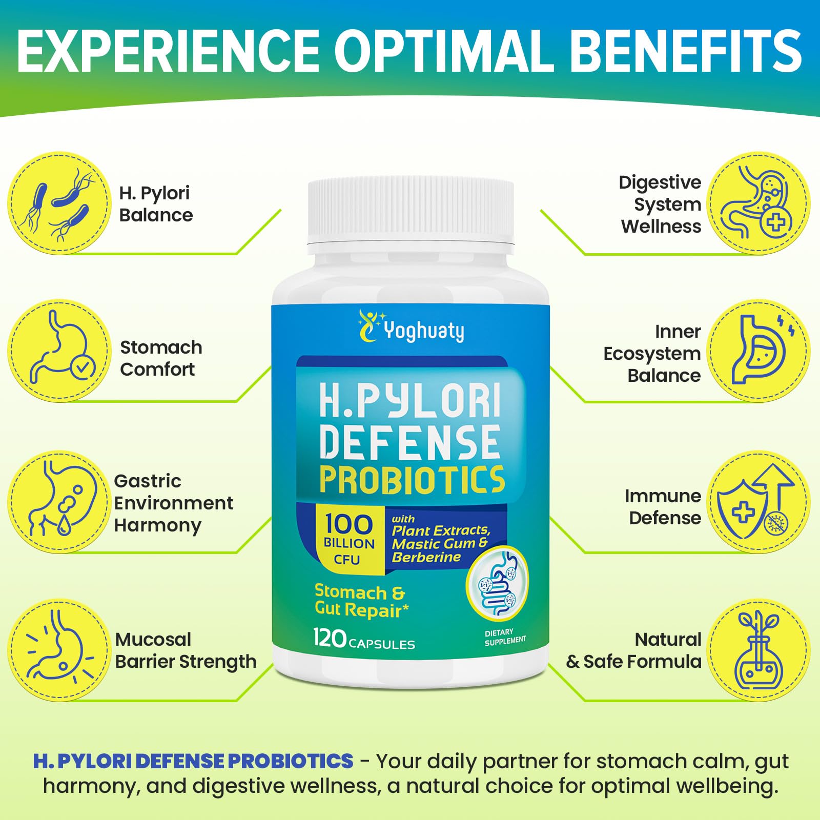 Yoghuaty Probiotic Capsules ingredients list on the label