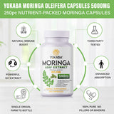 Yokaba Moringa Capsules 250 Count bottle with label