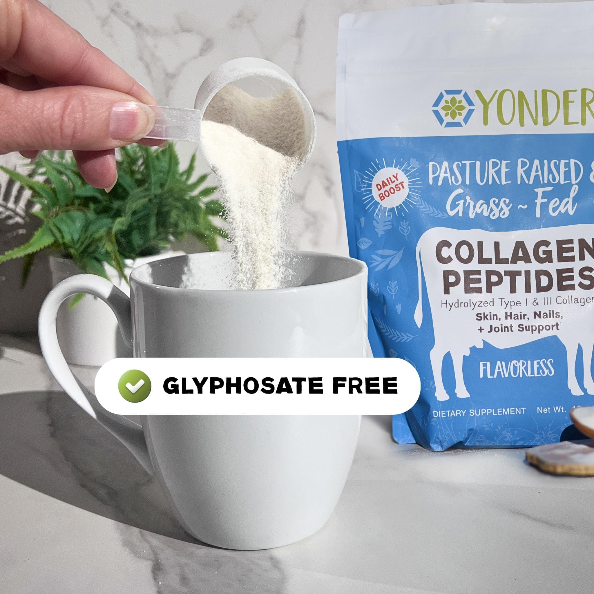 Yonder Collagen Peptides mixed in a glass of water