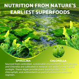 Youlikee Spirulina Chlorella Gummies on a kitchen counter