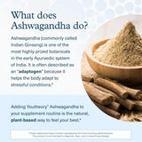 Youtheory Ashwagandha bottle with ingredients list