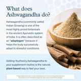 Youtheory Ashwagandha Liquid in a glass with blueberries