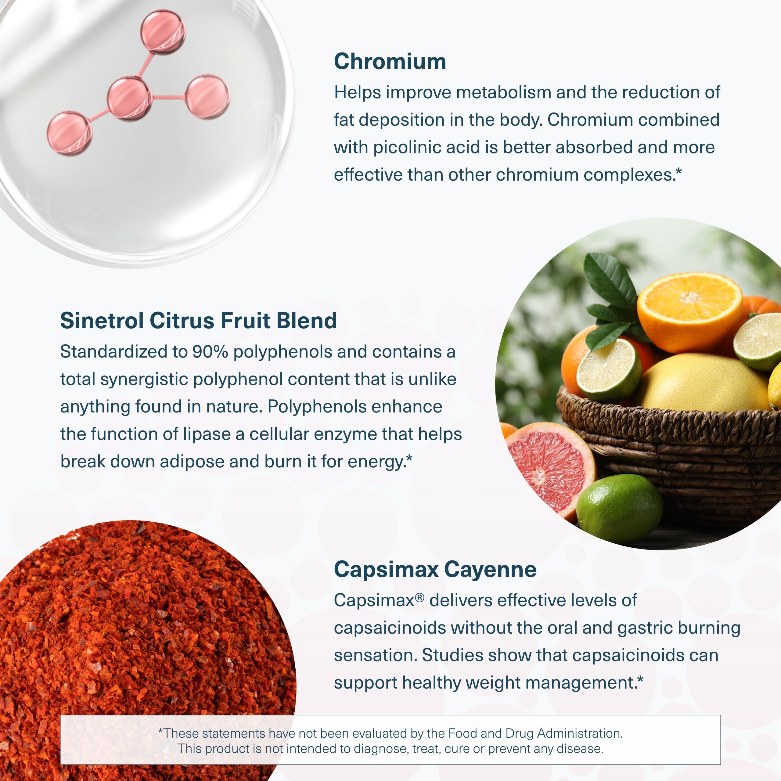 Youtheory Daily Fat Burner ingredients list