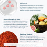 Youtheory Daily Fat Burner ingredients list