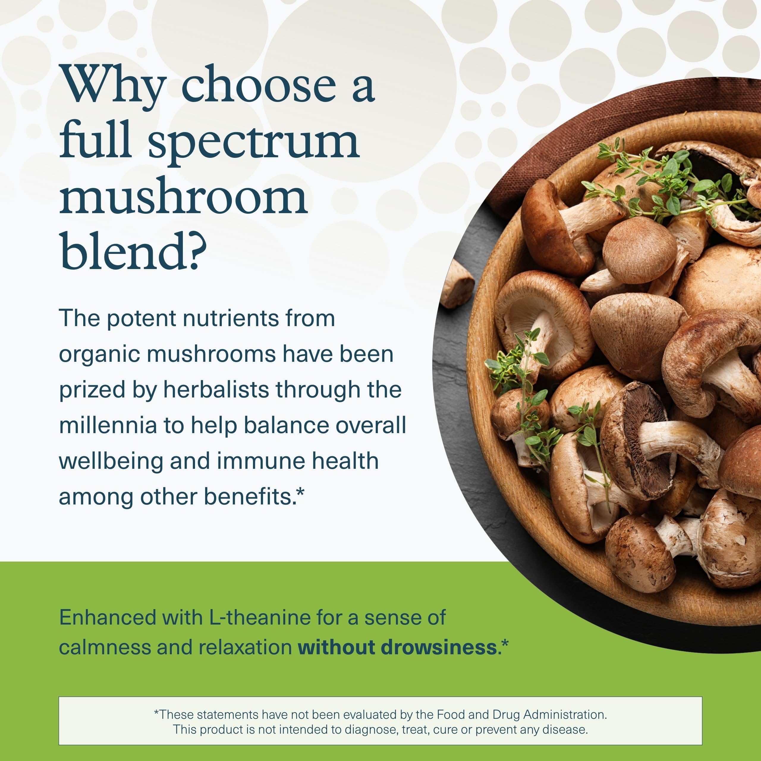 Youtheory daily wellness Support Mushroom Supplement ingredients list