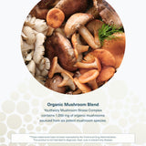 Youtheory daily wellness Support Mushroom Supplement packaging