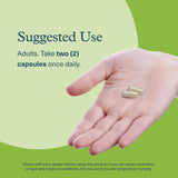 Youtheory daily wellness Support Mushroom Supplement with a natural background