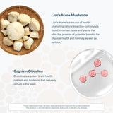 Youtheory Lion's Mane Mushroom Capsules on a wooden table