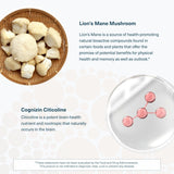 Youtheory Lion's Mane Plus ingredients list on packaging