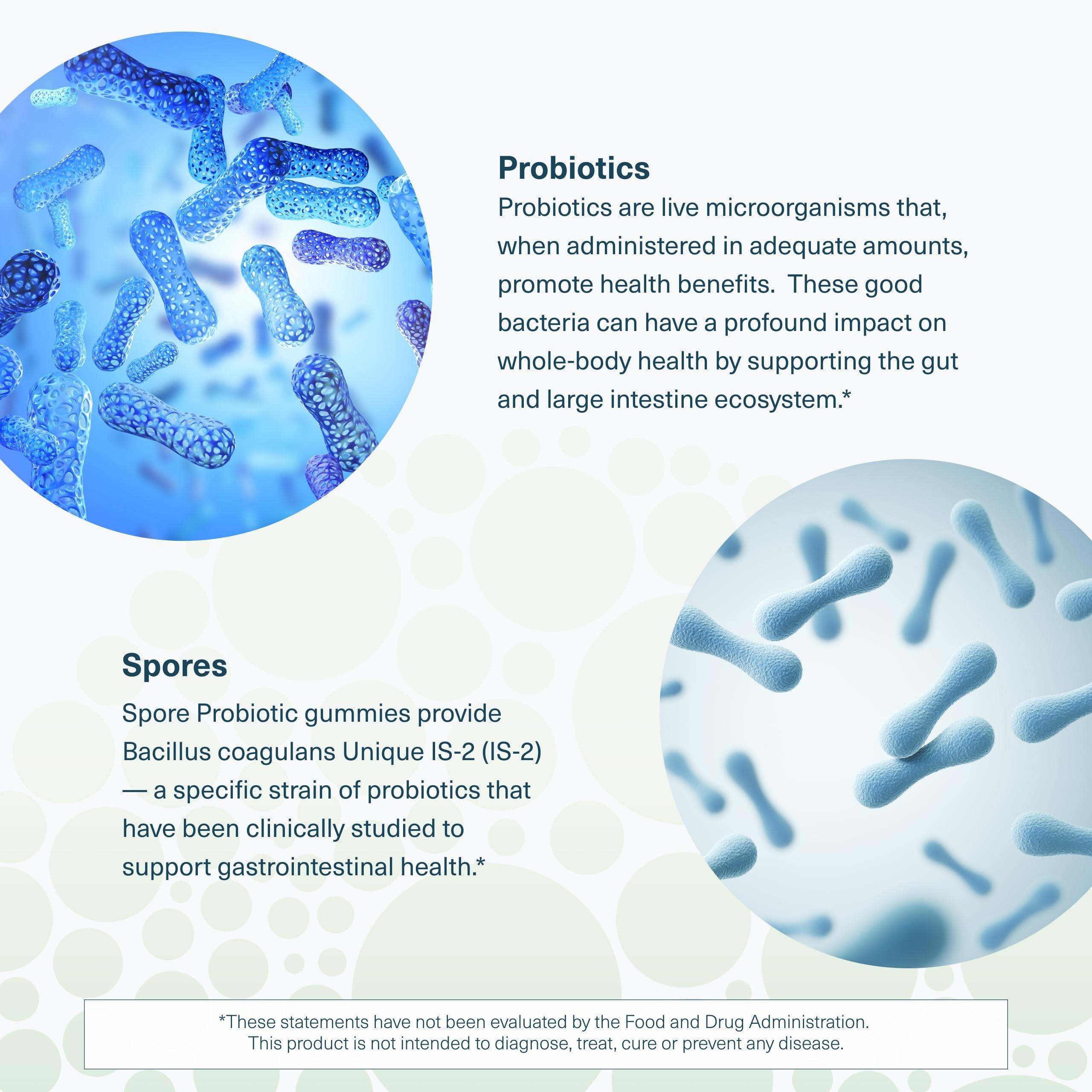 Youtheory Probiotic Gummies ingredients list