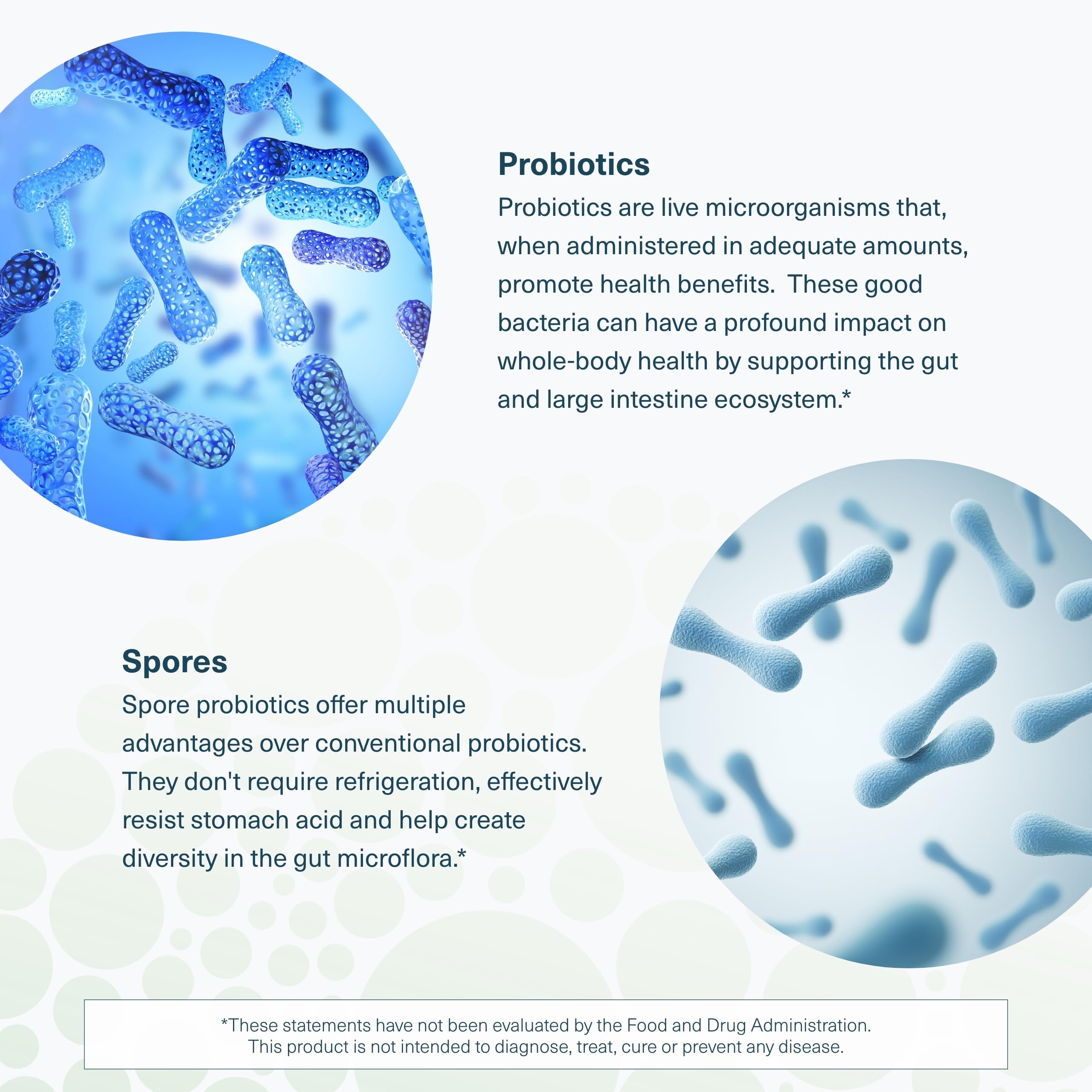 Youtheory Probiotic Supplement serving size details