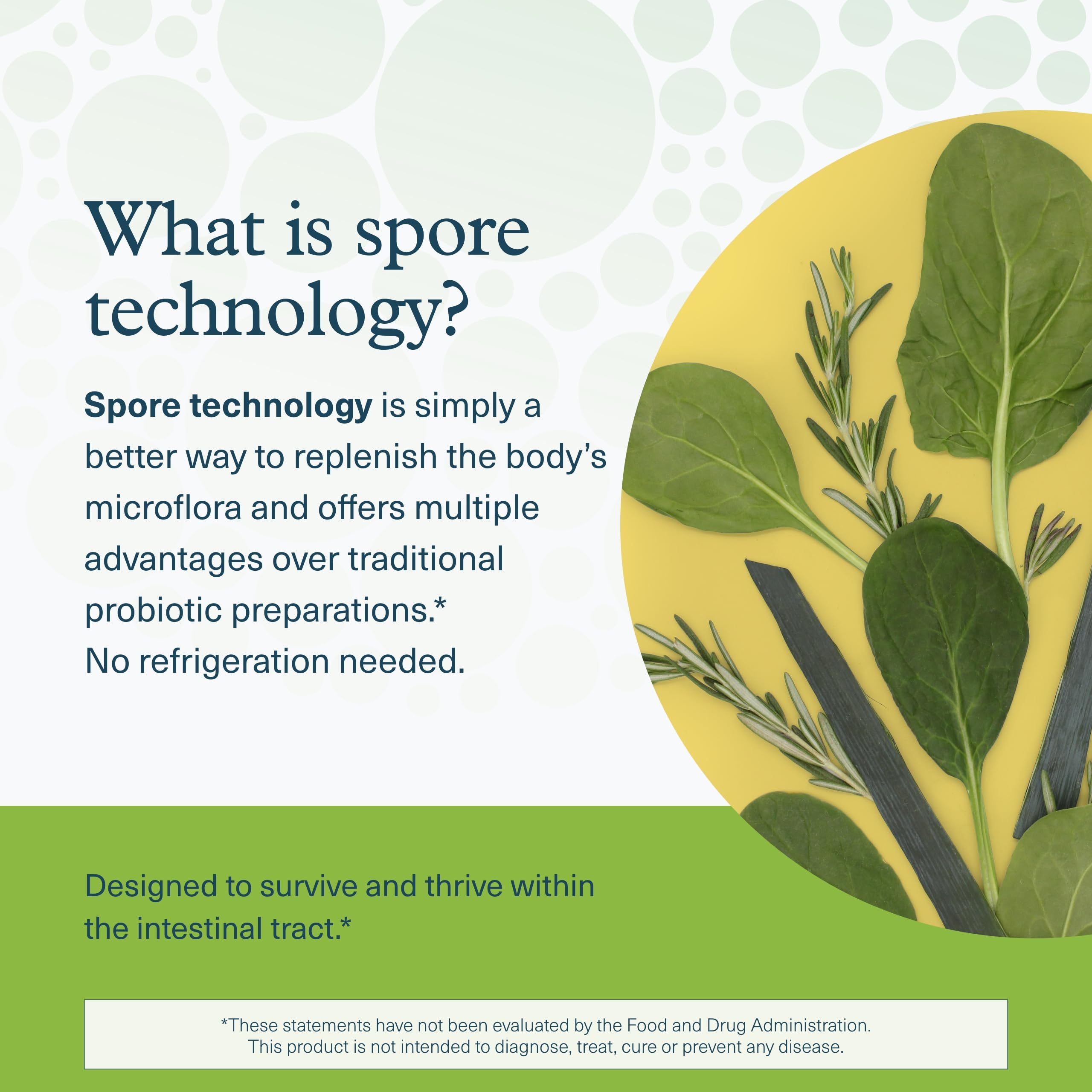 Youtheory Spore Probiotic 60 Capsules with ingredients list