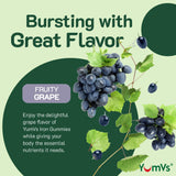 YUM-V'S Iron Gummies ingredients list