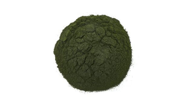 Yupik Chlorella Powder fine green powder close-up