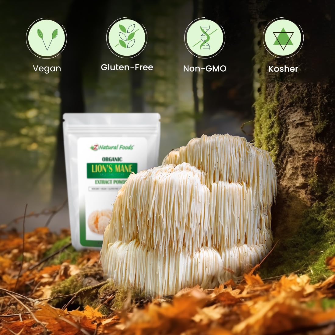Z Natural Foods Organic Lion’s Mane Powder 472g scoop with powder