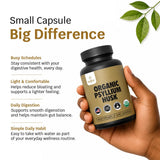 Z Zealthy Life Psyllium Husk Capsules packaging dimensions