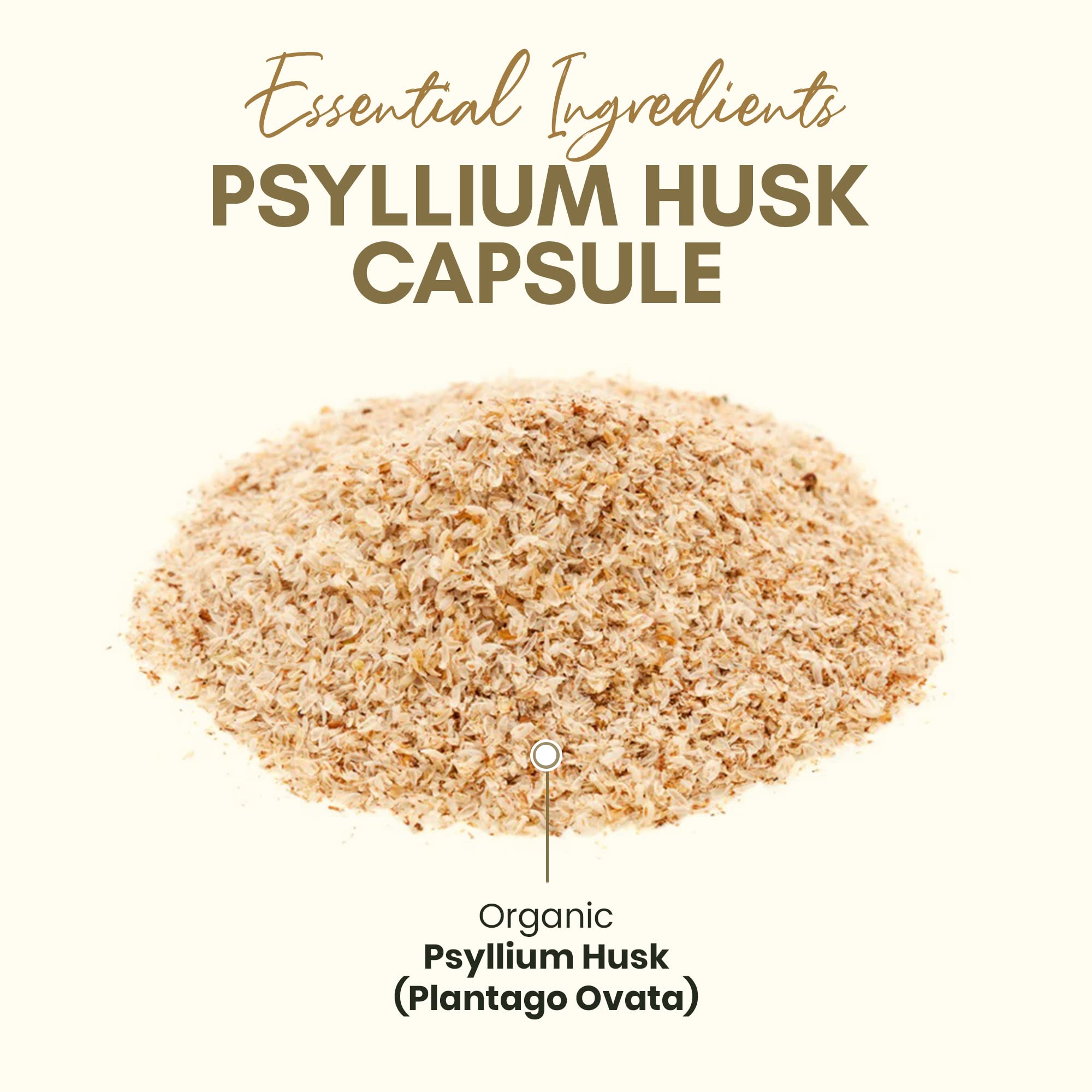 Z Zealthy Life Psyllium Supplement 340g serving suggestion