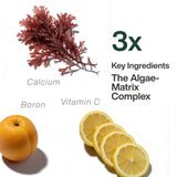 ZAB Algae Calcium Capsules with fresh ingredients