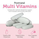 Zahler Breast Feeding & Postpartum Supplement 231g ingredients list