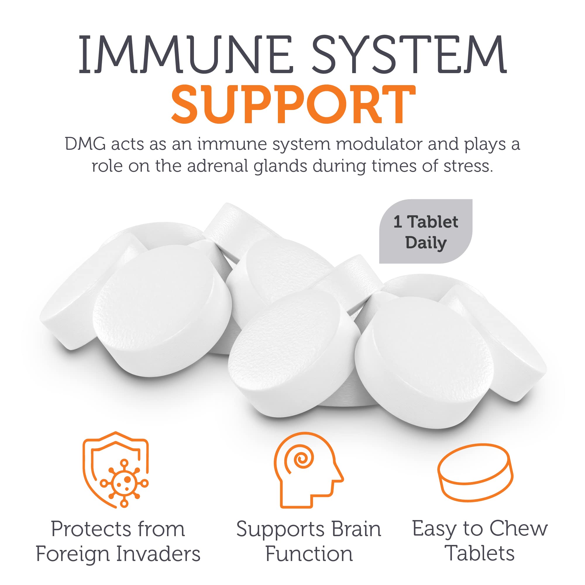 Zahler DMG Dimethylglycine Chewable Tablets 500mg ingredients list