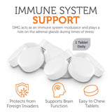 Zahler DMG Dimethylglycine Chewable Tablets 500mg ingredients list