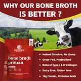 Zammex Collagen Peptides stick pack on a kitchen counter