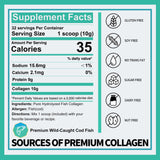 Zammex Marine Collagen Peptides 320g back view with ingredient list