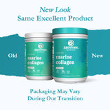 Zammex Marine Collagen Peptides 320g powder scoop next to container