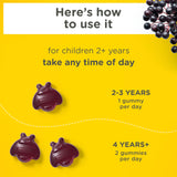 Zarbee's Children's Daily daily wellness Support Gummies packaging details
